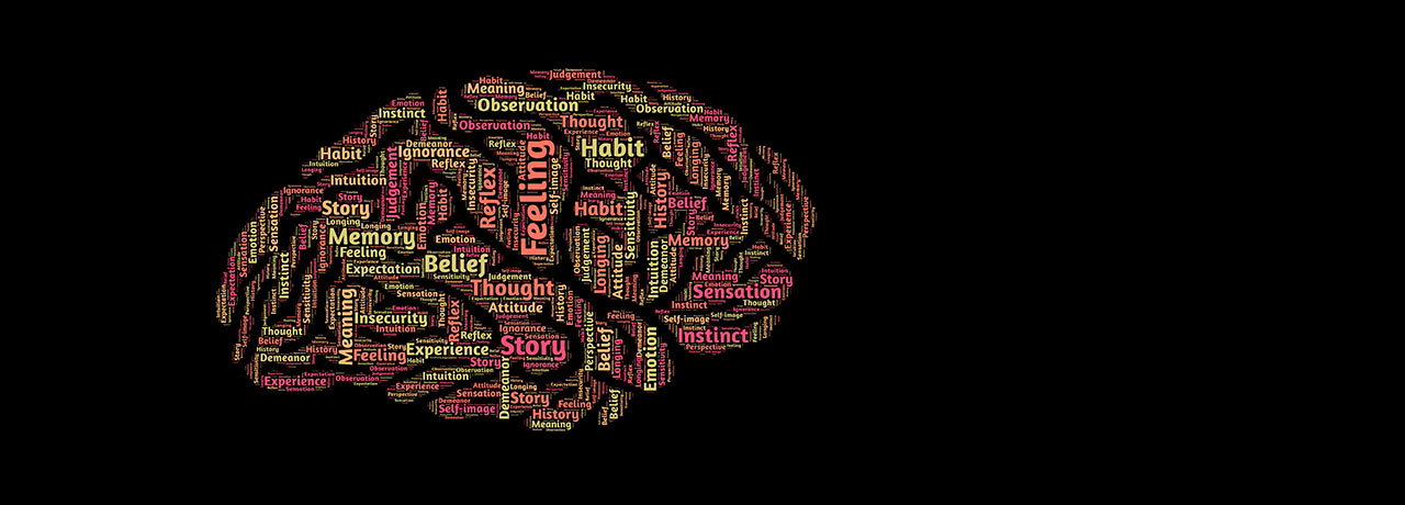 4年大学，学计算机到底走了多少弯路