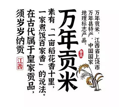江西拙楷