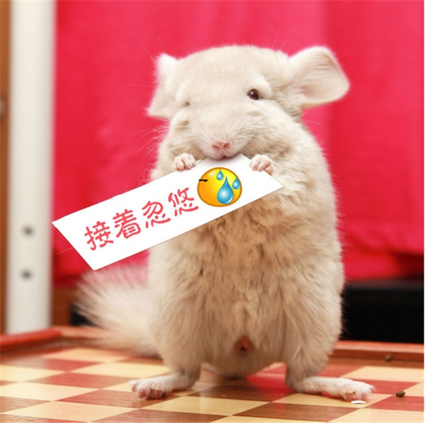不懂网络容易被忽悠