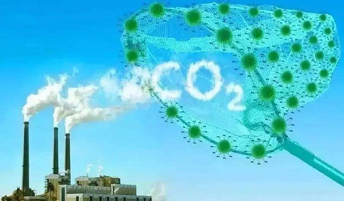碳捕获项目