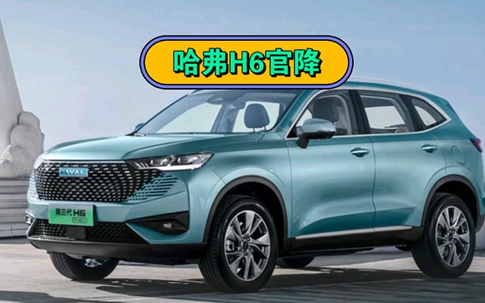 哈弗H6插电混动版开启官降
